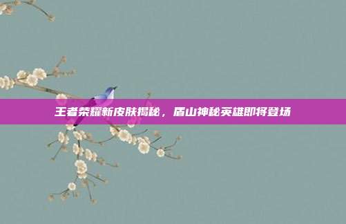 王者荣耀新皮肤揭秘,盾山神秘英雄即将登场