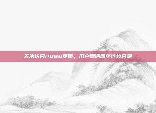 无法访问PUBG页面,用户遭遇网络连接问题