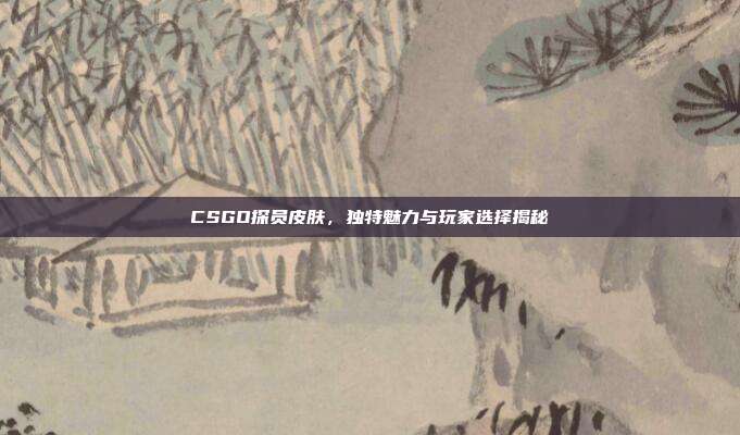 CSGO探员皮肤,独特魅力与玩家选择揭秘
