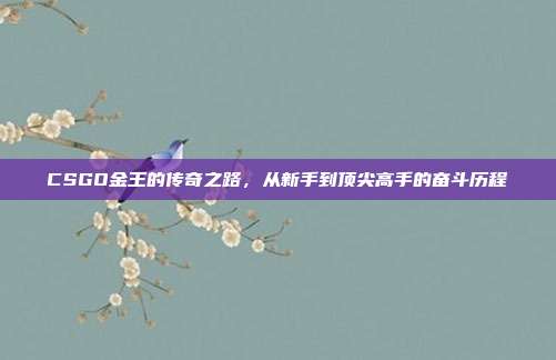 CSGO金王的传奇之路,从新手到顶尖高手的奋斗历程