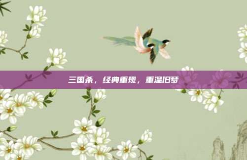 三国杀,经典重现,重温旧梦