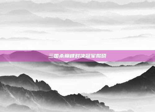 三国杀巅峰对决冠军揭晓