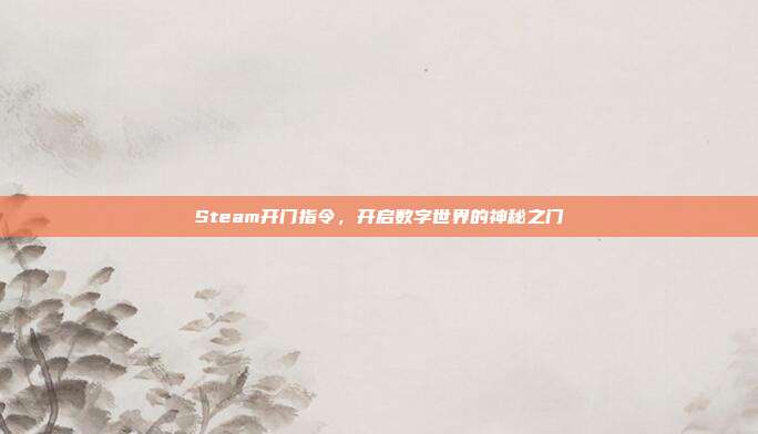Steam开门指令,开启数字世界的神秘之门