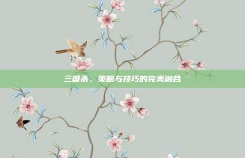 三国杀,策略与技巧的完美融合