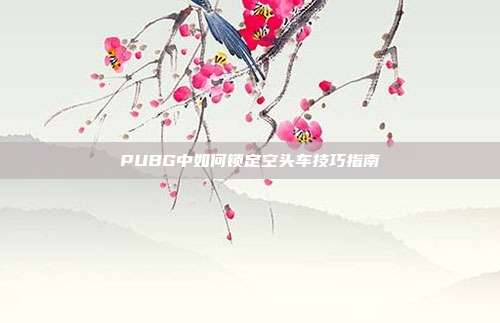 PUBG中如何锁定空头车技巧指南