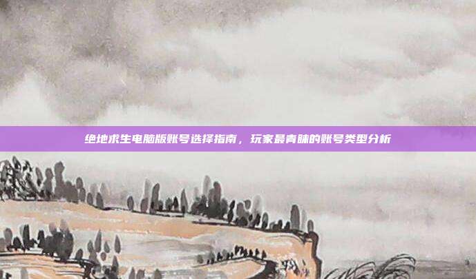 绝地求生电脑版账号选择指南,玩家最青睐的账号类型分析