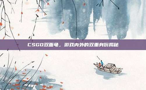 CSGO双面龟,游戏内外的双重身份揭秘
