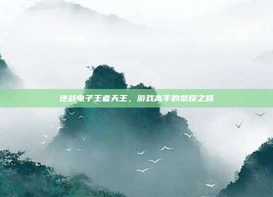 逆战电子王者天王,游戏高手的荣耀之路