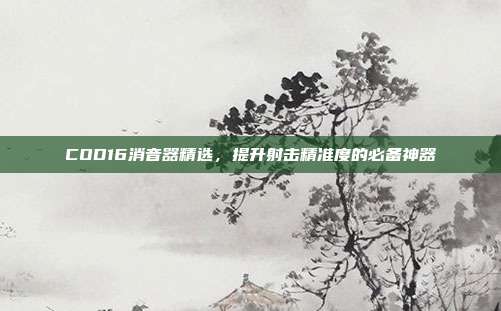 COD16消音器精选,提升射击精准度的必备神器