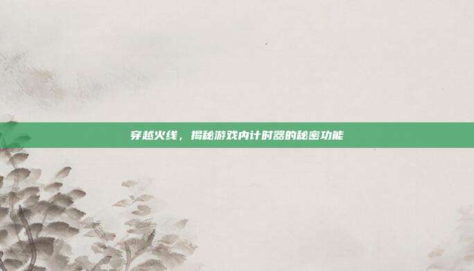 穿越火线,揭秘游戏内计时器的秘密功能