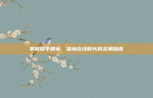 掌握和平精英,查询在线时长的实用指南