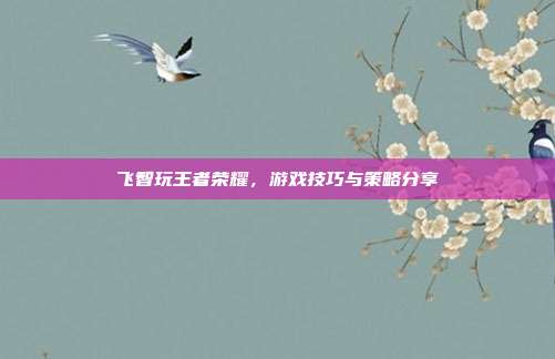 飞智玩王者荣耀,游戏技巧与策略分享