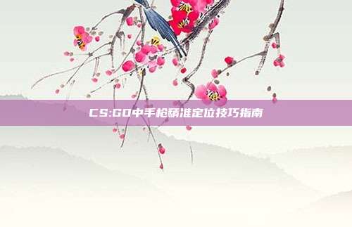 CS:GO中手枪精准定位技巧指南