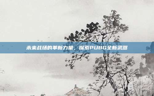 未来战场的革新力量,探索PUBG全新武器