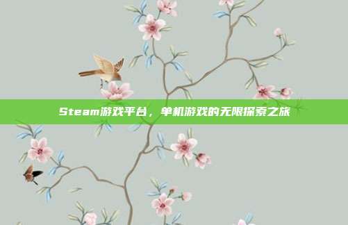 Steam游戏平台,单机游戏的无限探索之旅