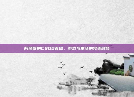 阿汤哥的CSGO直播,游戏与生活的完美融合