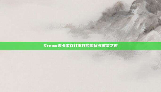 Steam美卡游戏打不开的困扰与解决之道