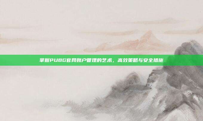 掌握PUBG官网账户管理的艺术,高效策略与安全措施