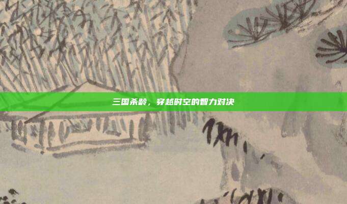 三国杀龄,穿越时空的智力对决