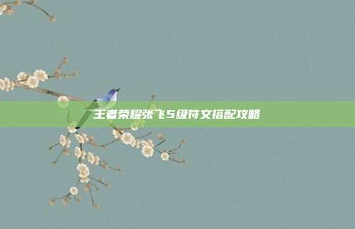 王者荣耀张飞5级符文搭配攻略