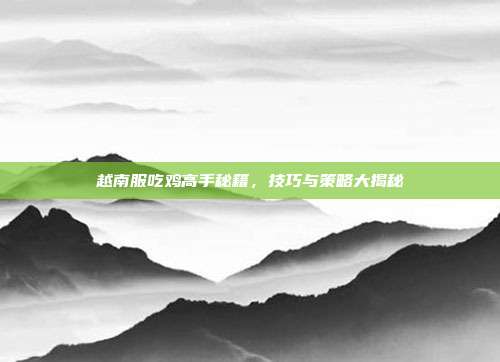 越南服吃鸡高手秘籍,技巧与策略大揭秘