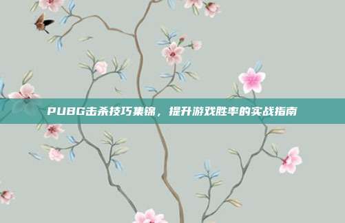 PUBG击杀技巧集锦,提升游戏胜率的实战指南