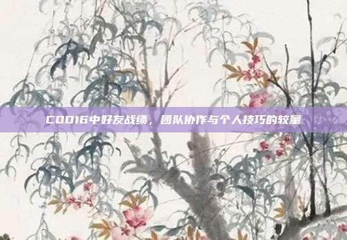 COD16中好友战绩,团队协作与个人技巧的较量