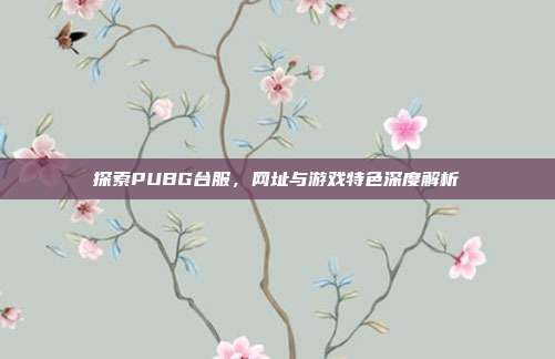 探索PUBG台服,网址与游戏特色深度解析