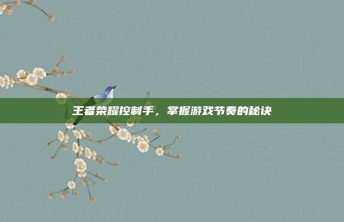 王者荣耀控制手,掌握游戏节奏的秘诀