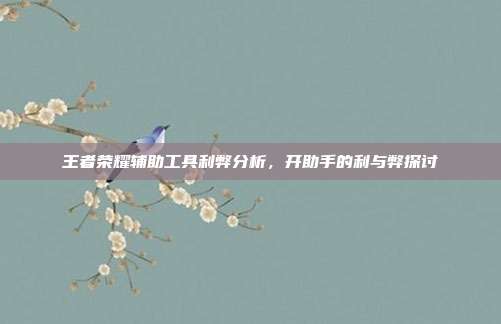 王者荣耀辅助工具利弊分析,开助手的利与弊探讨
