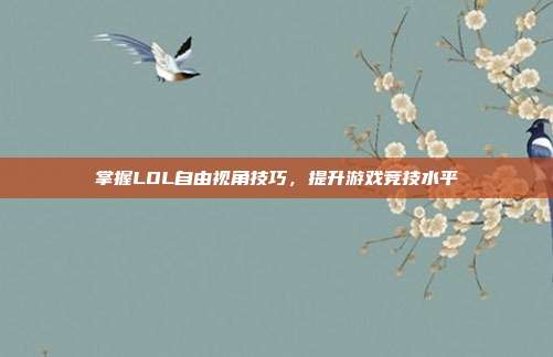 掌握LOL自由视角技巧,提升游戏竞技水平
