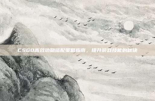 CSGO高效功勋搭配策略指南,提升游戏技能的秘诀