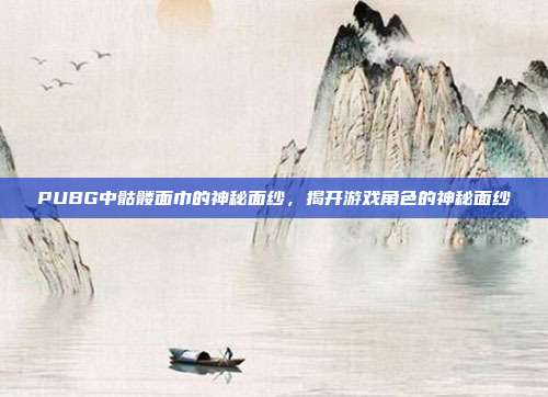 PUBG中骷髅面巾的神秘面纱,揭开游戏角色的神秘面纱