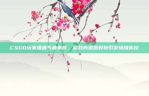 CSGO玩家遭遇气疯事件,游戏内激烈对抗引发情绪失控