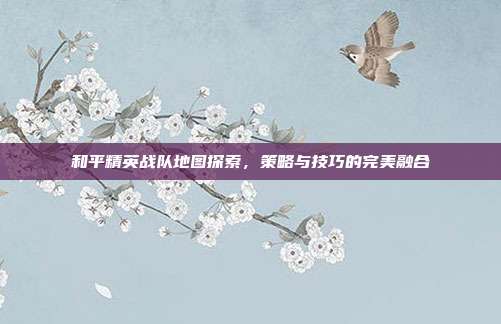 和平精英战队地图探索,策略与技巧的完美融合