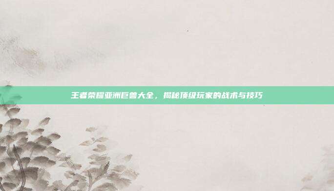 王者荣耀亚洲巨兽大全,揭秘顶级玩家的战术与技巧