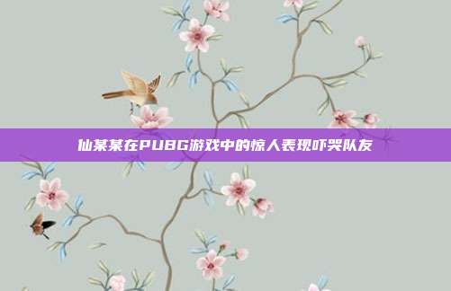 仙某某在PUBG游戏中的惊人表现吓哭队友