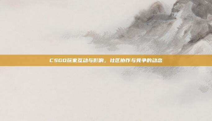 CSGO玩家互动与影响,社区协作与竞争的动态