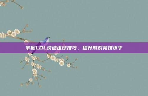 掌握LOL快速进球技巧,提升游戏竞技水平