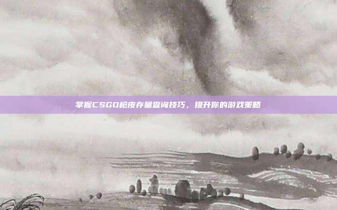掌握CSGO枪皮存量查询技巧,提升你的游戏策略