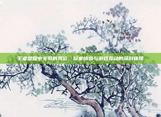 王者荣耀中关羽的哭泣,玩家情感与游戏互动的深刻体现