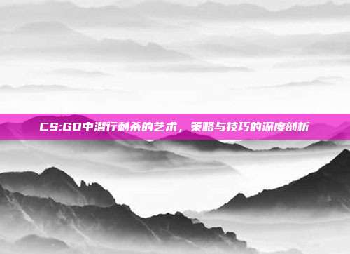 CS:GO中潜行刺杀的艺术,策略与技巧的深度剖析