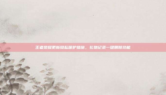 王者荣耀更新隐私保护措施,礼物记录一键删除功能