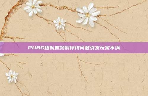 PUBG组队时频繁掉线问题引发玩家不满