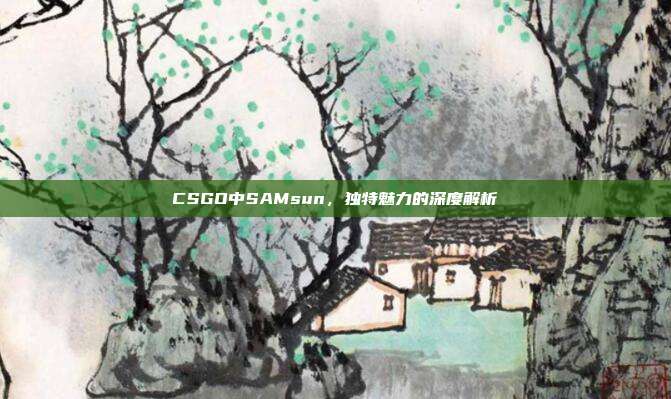 CSGO中SAMsun,独特魅力的深度解析