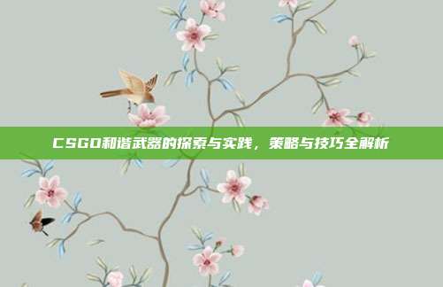 CSGO和谐武器的探索与实践,策略与技巧全解析