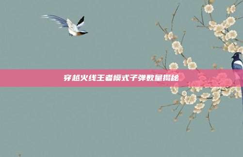 穿越火线王者模式子弹数量揭秘