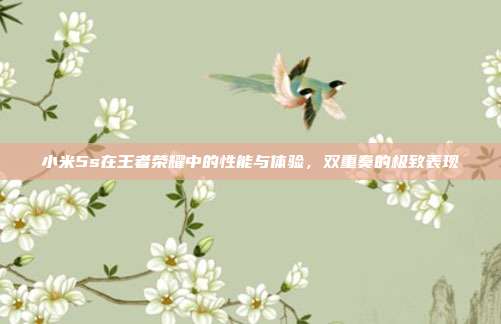 小米5s在王者荣耀中的性能与体验,双重奏的极致表现