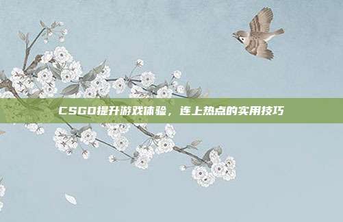 CSGO提升游戏体验,连上热点的实用技巧