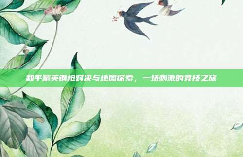 和平精英钢枪对决与地图探索,一场刺激的竞技之旅